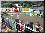 IMG_2298.JPG