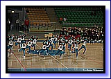 IMG_4395.jpg