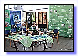 IMG_4473.jpg
