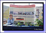 IMG_4499.jpg