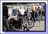 IMG_4535.jpg