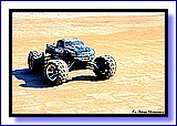 IMG_4923.JPG